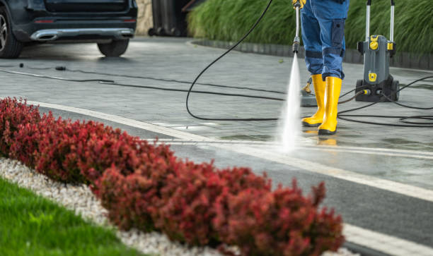 Best Affordable Pressure Washing  in Pulaski, VA